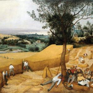 Breugel - The Harvesters